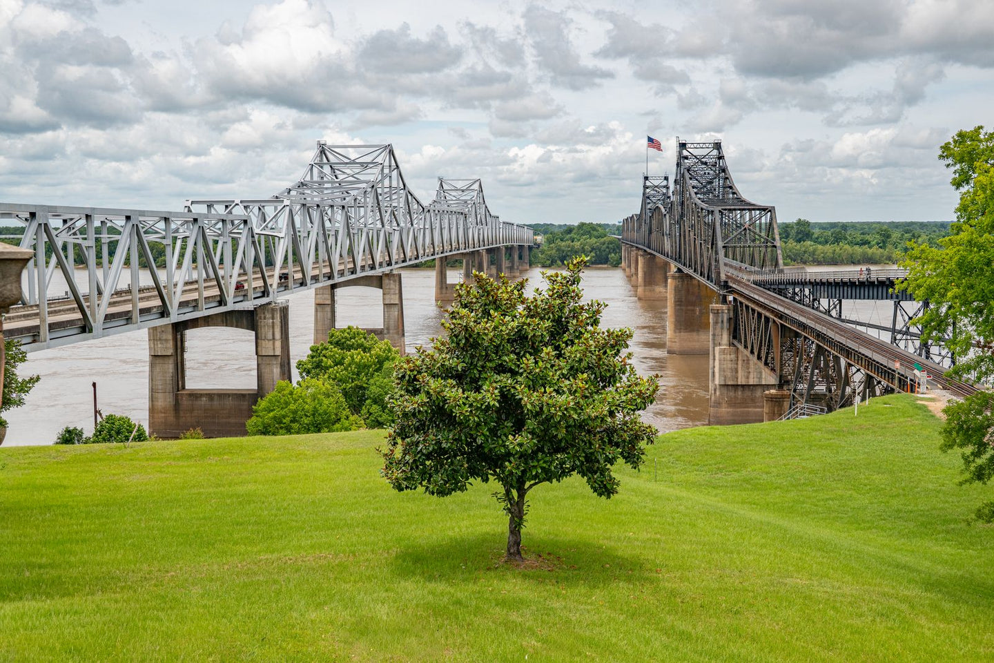 Solo Media Group - Shopify Platinum Partner - Agency Mississippi