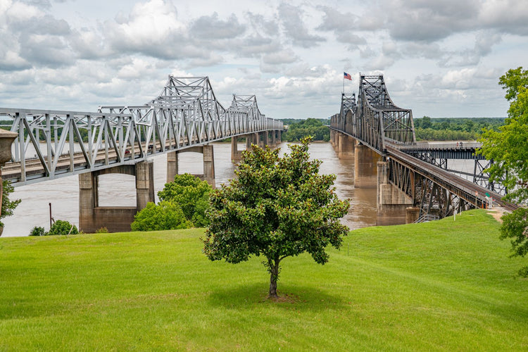 Solo Media Group - Shopify Platinum Partner - Agency Mississippi