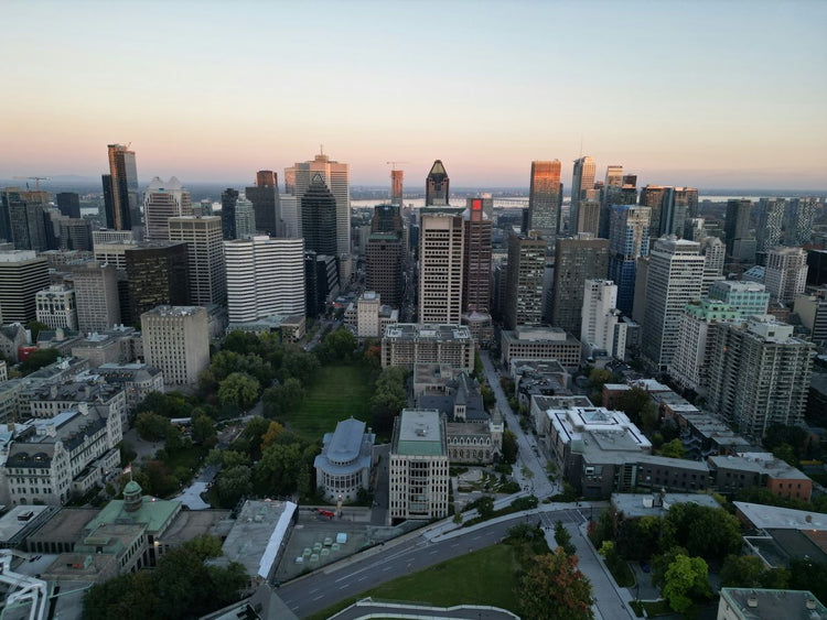 Solo Media Group - Shopify Platinum Partner - Agency Montreal, CA