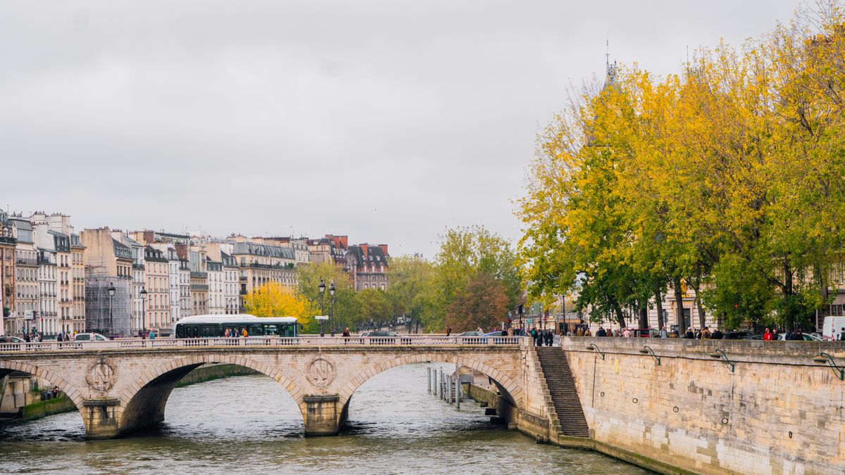 Solo Media Group - Shopify Platinum Partner - Agency Paris, FR