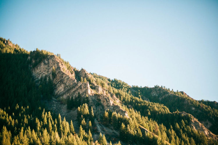 Solo Media Group - Shopify Platinum Partner - Agency Provo, UT