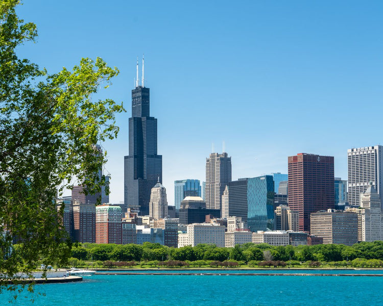 Solo Media Group - Shopify Platinum Partner - Agency Rockford, IL