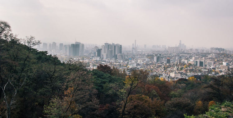Solo Media Group - Shopify Platinum Partner - Agency Seoul, South Korea