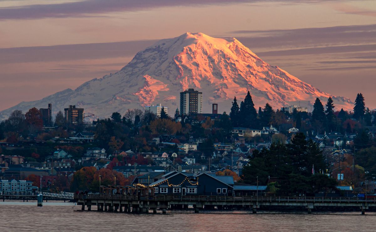 Solo Media Group - Shopify Platinum Partner - Agency Tacoma, WA