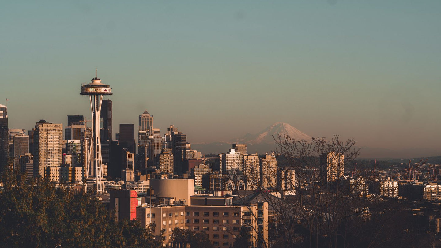 Solo Media Group - Shopify Platinum Partner - Agency Washington