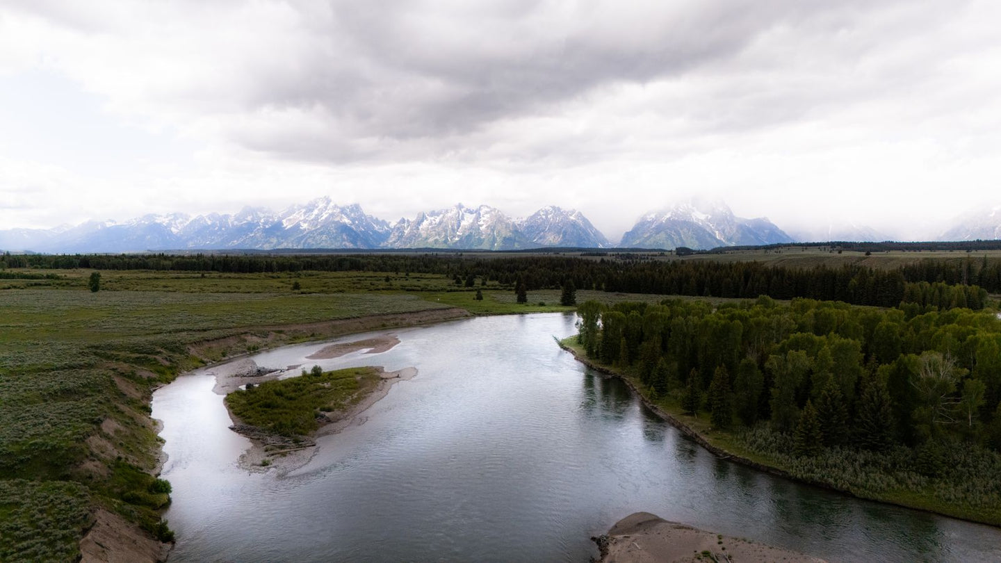 Solo Media Group - Shopify Platinum Partner - Agency Wyoming